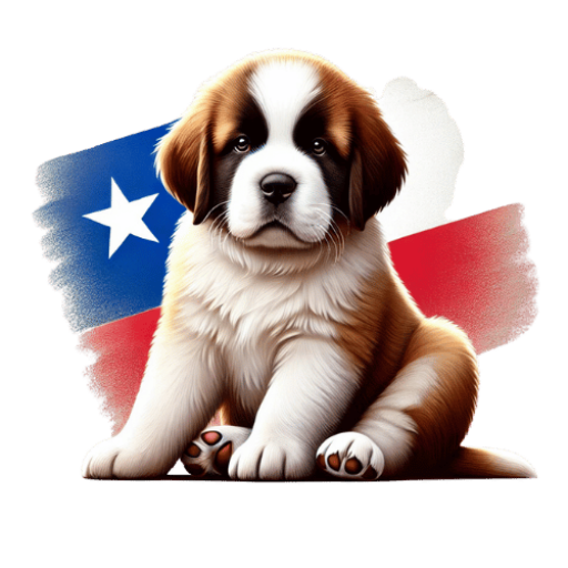 Cachorros San Bernardo Chile